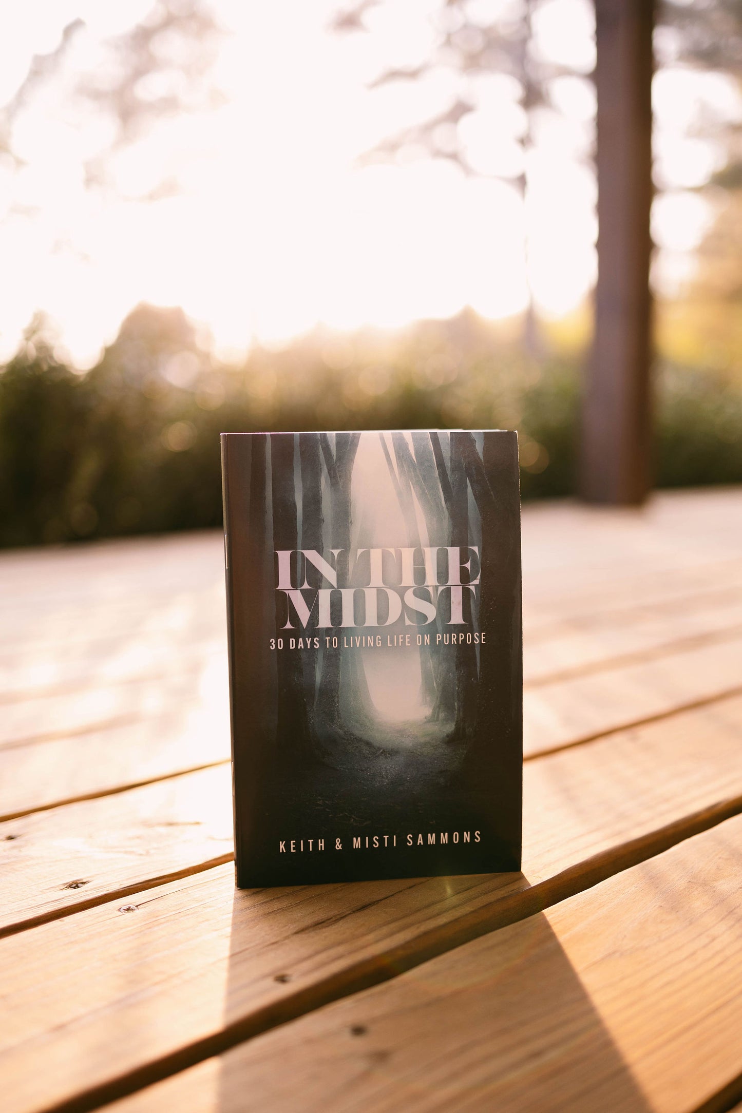 In The Midst: 30 Days to Living Life On Purpose